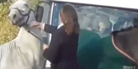 Woman filmed ‘punching and kicking horse’ is ‘mum and primary school teacher’