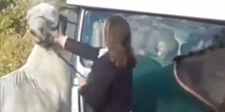 Teacher filmed ‘punching and kicking horse’ suspended from job