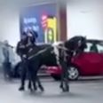Shocking footage shows pony being beaten with pole 15 times as owner says ‘its gotta learn’