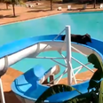 Cow escapes field, heads to resort, and gets stuck on water slide