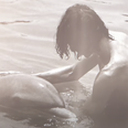 Man claims dolphin seduced him and it led to a sexual relationship