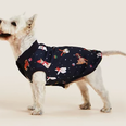 M&S is selling matching Christmas pyjamas for you and your dog