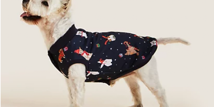 M&S selling matching Xmas pyjamas for owner and dog