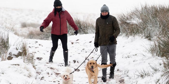 UK issued with more snowy and icy weather