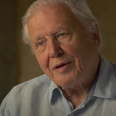 David Attenborough says he hopes he dies quickly