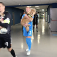 Zenit players take dogs on pitch in bid to get them rehomed