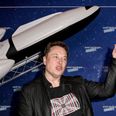Elon Musk’s Starlink satellites are proving very popular – with cats
