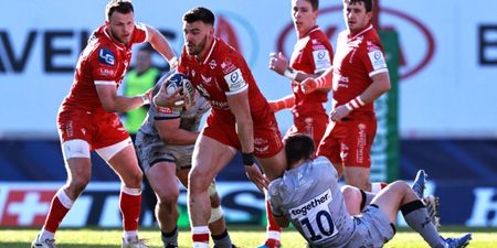 Scarlets forced to forfeit Champions Cup opener after Covid nightmare