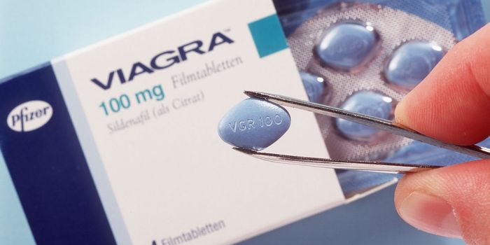Study finds Viagra could treat Alzheimer's