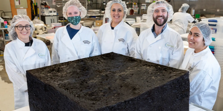 Largest weed brownie in the world is going up for sale