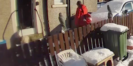 Postman who left woman, 72, lying in snow after fall fired by Royal Mail