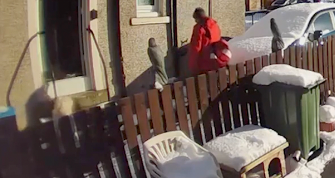 Postman leaves woman in snow