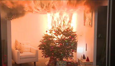 Viral warning video shows why you should be watering your Christmas tree