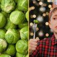 People who hate sprouts are more highly evolved, apparently