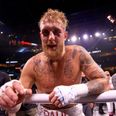 Jake Paul looks to face experienced boxer as next opponent