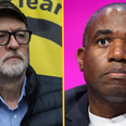 David Lammy apologises for nominating Jeremy Corbyn to be Labour leader