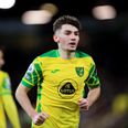 Norwich fans chant ‘F*** off back to Chelsea’ at Billy Gilmour during Crystal Palace loss