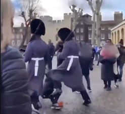 Shocking video shows Queen’s Guard trample over child who gets in their way