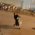 Woman carries escaped lion down street after animal gets free
