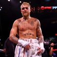 Jake Paul claims he’ll fight Tyson or John Fury before Tommy