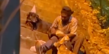Camera catches homeless man throwing birthday party for his dog