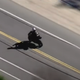 Motorcyclist dies in crash live on TV while trying to escape police