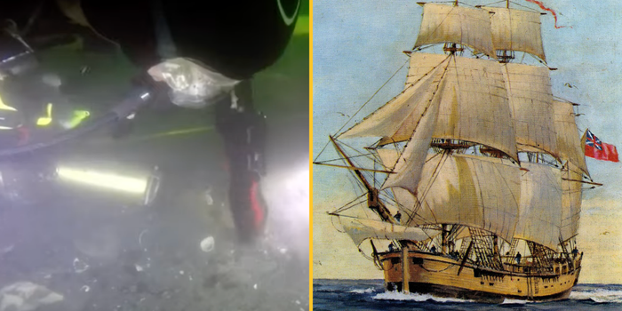 HMS Endeavour discovered