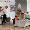 German coach goes viral for animated living room antics