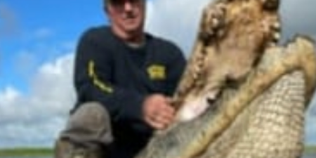 Hunter kills 13ft monster alligator as it ‘Threatens Livestock’