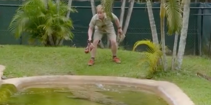 Steve Irwin's son fleeing from crocodile enclosure