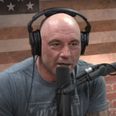 Joe Rogan is convinced The Hangover is the last great comedy because ‘wokeness killed genre’