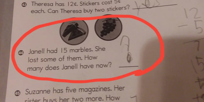Internet left confused by 8-year-old's maths homework question