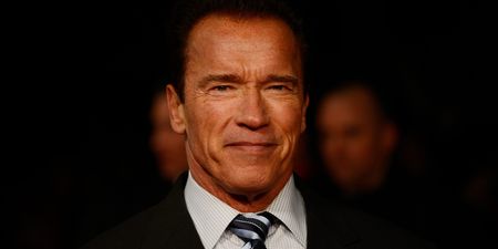 Arnold Schwarzenegger sends support to Klitschkos as they join fight against Russia