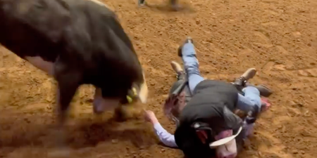Brave dad jumps on ‘unconscious’ son to protect him from raging bull in rodeo