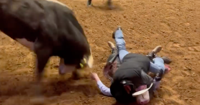 Dad protects unconscious son from raging bull