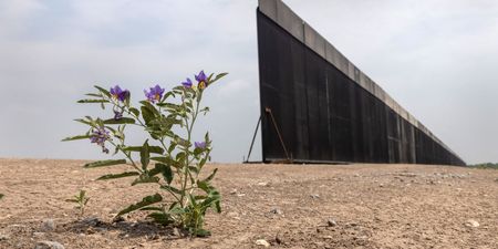 Trump’s ‘impenetrable’ $15bn border wall breached 3,272 times