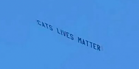 ‘Cats’ Lives Matter’ banner flies over Anfield during Liverpool-West Ham game