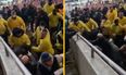 Stewards seen punching fans at Stuttgart vs Monchengladbach match