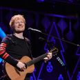 Ed Sheeran’s music best at sending dogs to sleep, study finds