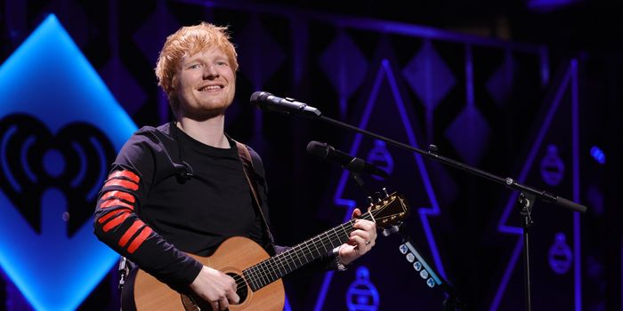 Ed Sheeran song best for sending dogs to sleep