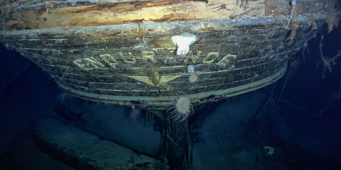 Endurance discovered 107 years after she sank