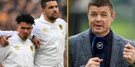 Brian O’Driscoll captures overwhelming sentiment about Jarvo’s latest pitch invasion