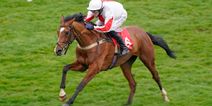 Racehorse Shallwehaveonemore dies on day one of Cheltenham Festival