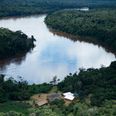 Four members of remote Amazonian tribe killed by soldiers over WiFi password