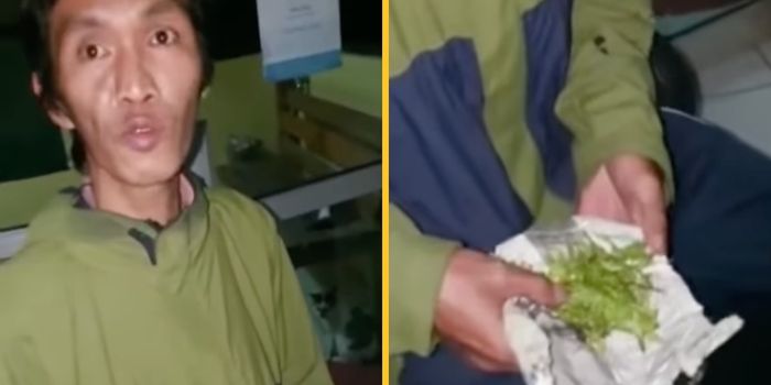 Man scammed with celery instead of weed
