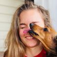 Your dog’s kisses may contain a superbug that could kill you, study says