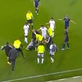 Fan tries to attack players during Vitoria vs Porto game