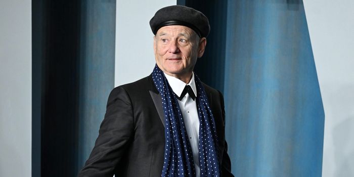 Production on Being Mortal suspended after Bill Murray accusations
