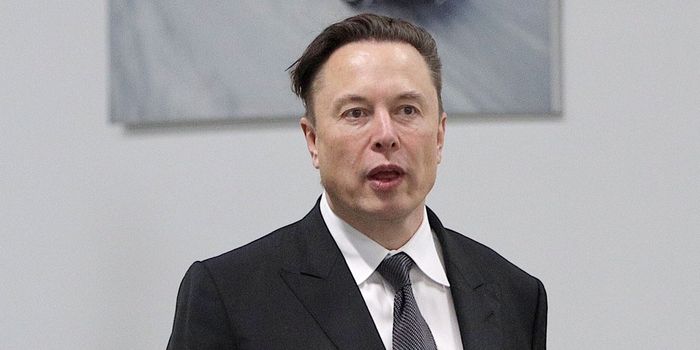 Elon Musk's Twitter plans: removing bots