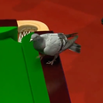 Pigeon interrupts game at Snooker World Championship